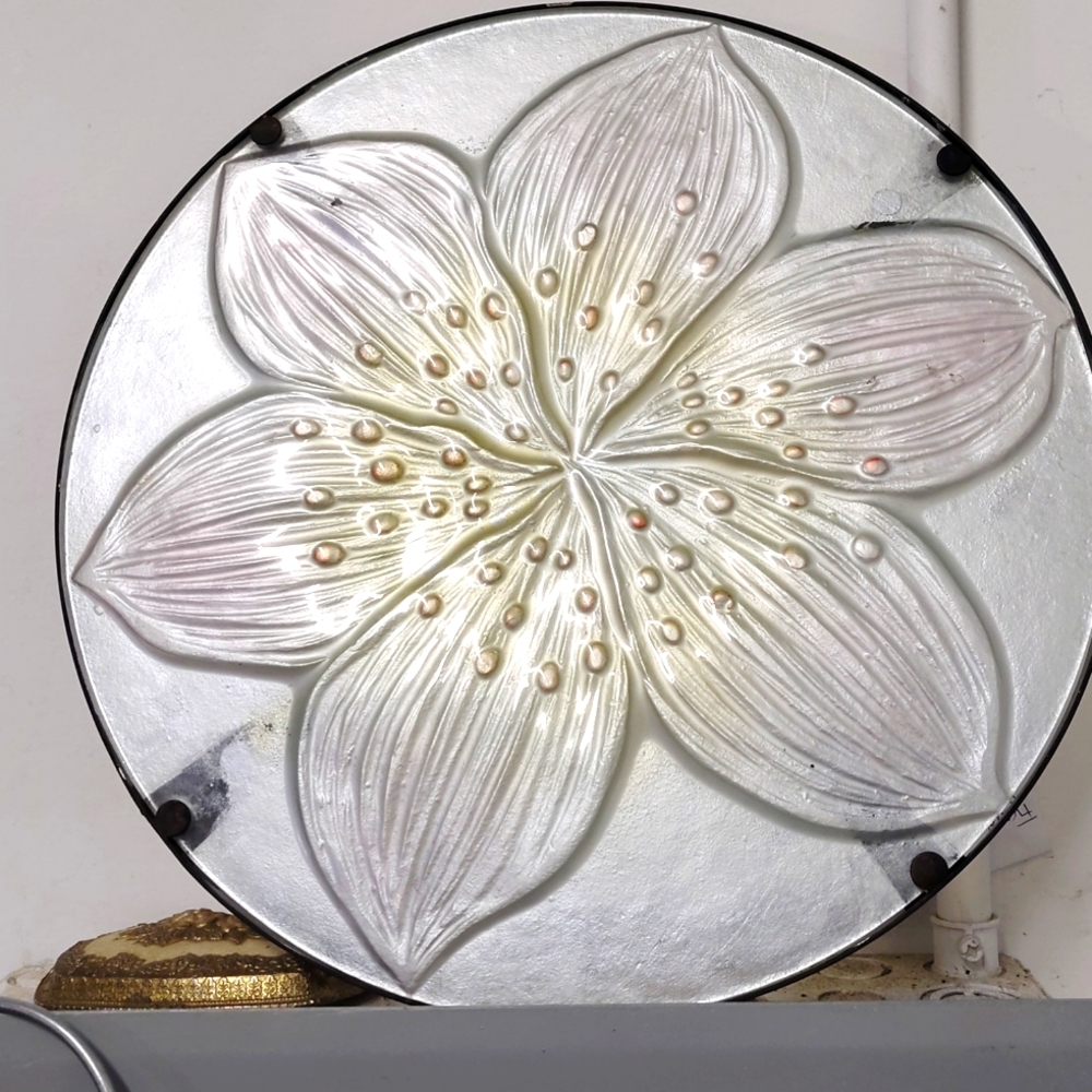 Wall hanging? Plant tray?